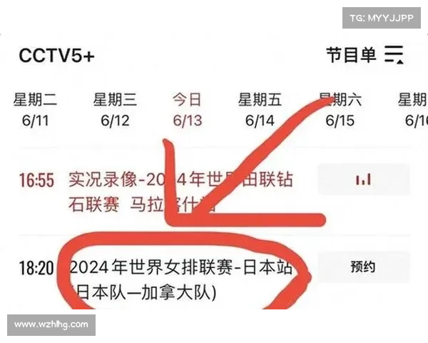 女排赛事时间表